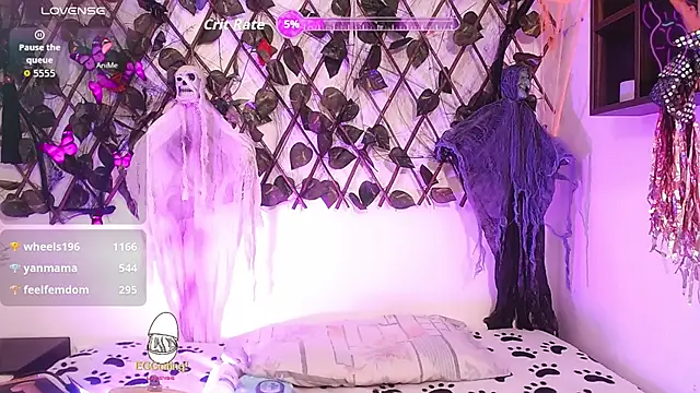 shelbygp online show from October 2025 12:04:02 PM