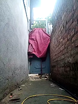 July-Asian online show from March 2026 11:31:02 PM