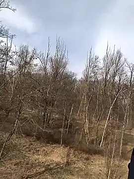 kot766 online show from March 2026 12:22:01 PM