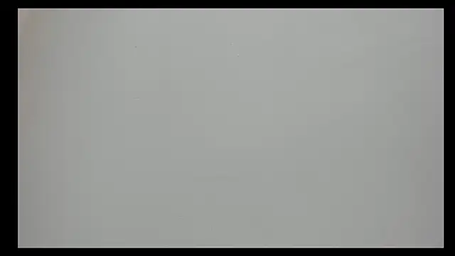 Saammy 17 online show from September 2025 08:33:01 PM