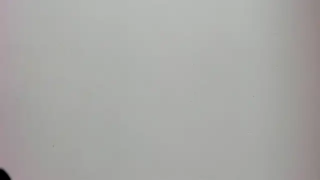 Saammy 17 online show from October 2025 08:16:02 PM