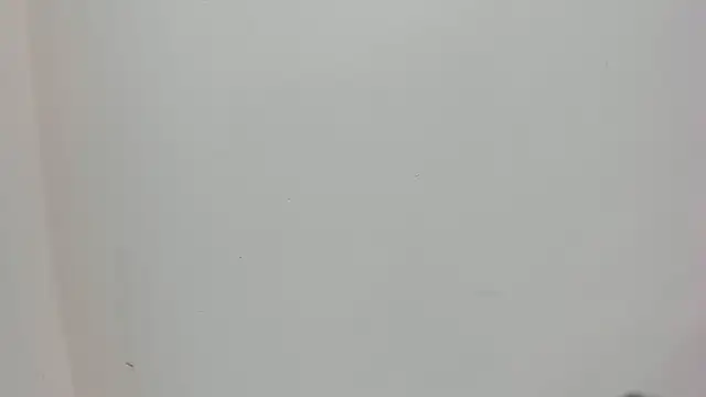 Saammy 17 online show from October 2025 08:06:02 PM