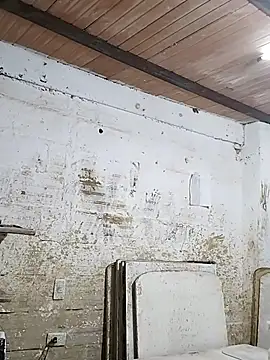 hoteder online show from October 2025 11:22:02 AM