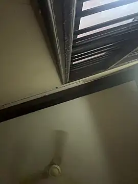 daddytemptation online show from March 2026 12:55:01 PM