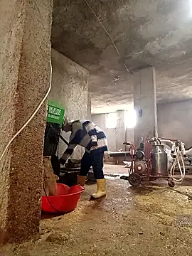 ezgi2545 online show from March 2026 07:27:01 AM