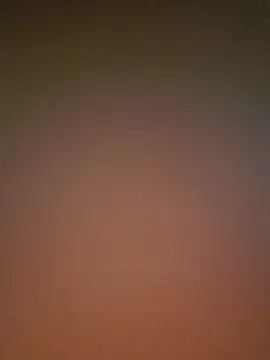 Lizbeth Rouse online show from December 2025 11:41:02 AM