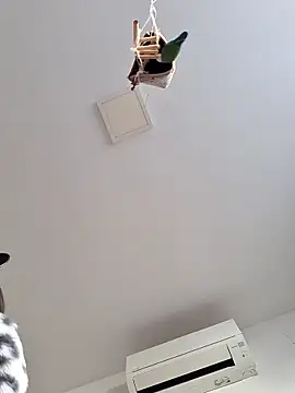 SweetSun69 online show from March 2026 07:42:01 AM