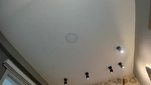 Snapshot of VenusBlazer chatting on February 2026 07:10:01 PM VenusBlazer online show from February 2026 07:10:01 PM