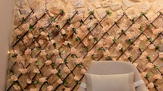 Snapshot of VenusBlazer chatting on February 2026 02:05:01 PM VenusBlazer online show from February 2026 02:05:01 PM