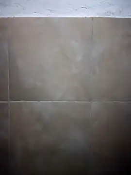 Chingasexo online show from April 2026 03:31:01 AM