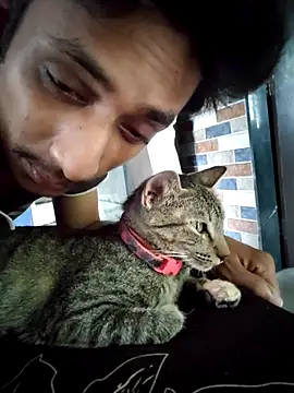 yung cplz online show from September 2025 08:13:02 AM