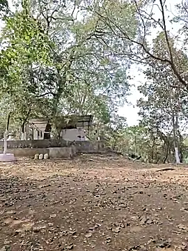 yung cplz online show from February 2026 07:34:01 AM