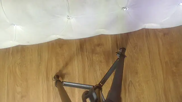 RylieRoss online show from November 2025 01:35:02 PM