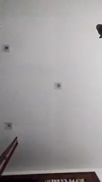 PearlingBunkbed online show from November 2025 05:06:01 AM