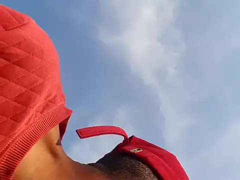 gemini loops online show from September 2025 02:06:02 PM