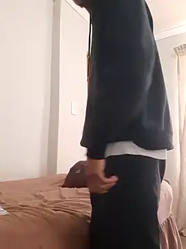 gemini loops online show from October 2025 10:38:01 AM