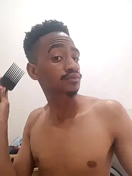 gemini loops online show from November 2025 10:29:01 AM