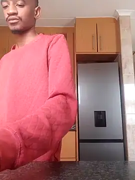 gemini loops online show from February 2026 08:11:02 AM