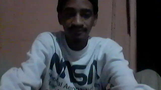 gemini loops online show from July 2026 08:17:02 AM
