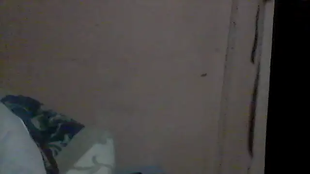 gemini loops online show from July 2026 10:04:01 PM