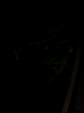 sr dias online show from November 2025 08:46:01 AM