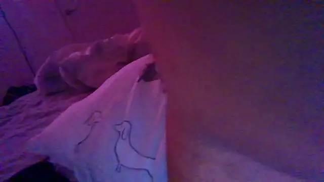 Shy straightguy online show from November 2025 05:01:02 PM