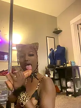 ToyBox96 online show from September 2025 04:40:02 AM