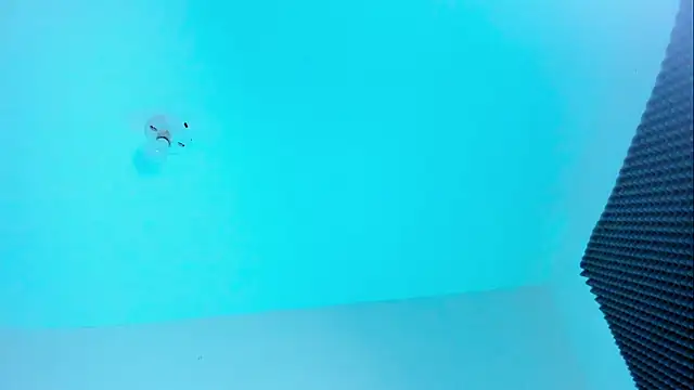 Ellope  online show from October 2025 11:04:02 PM