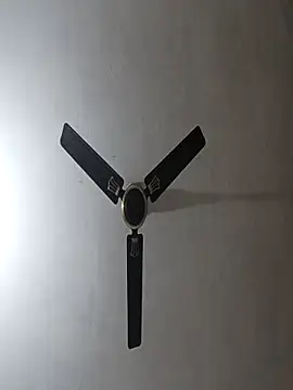 NoxiousFilename online show from November 2025 05:50:02 AM