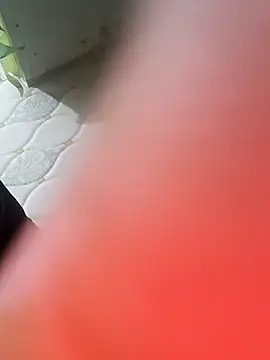 NoxiousFilename online show from November 2025 08:20:01 AM