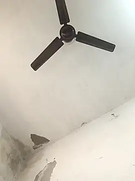 NoxiousFilename online show from November 2025 07:29:02 AM