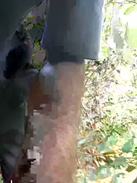 Snapshot of kavi1q1 chatting on January 2026 04:39:01 AM kavi1q1 online show from January 2026 04:39:01 AM