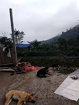 linda bae00 online show from December 2025 02:07:02 AM