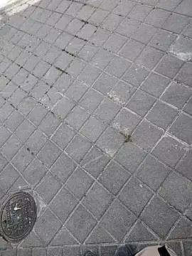 xxxfeo online show from April 2026 11:59:01 AM