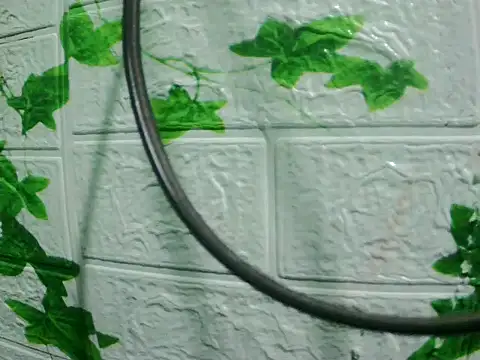 daros453 online show from November 2025 02:13:02 AM