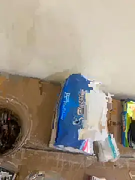 Hl1979 online show from September 2025 03:06:02 PM