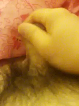 Hl1979 online show from February 2026 09:04:01 PM