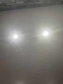 Poppy frankie online show from September 2025 10:12:02 PM