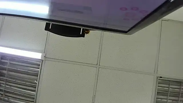 Aisha hotts777 online show from April 2026 03:45:02 AM