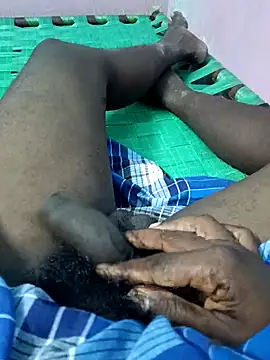 dolphiinn online show from October 2025 02:40:01 PM