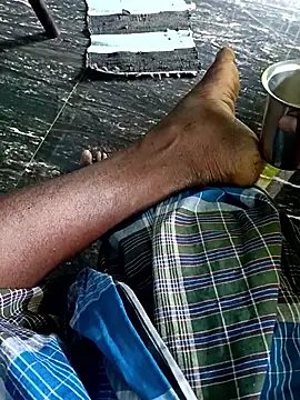 dolphiinn online show from October 2025 05:41:02 AM