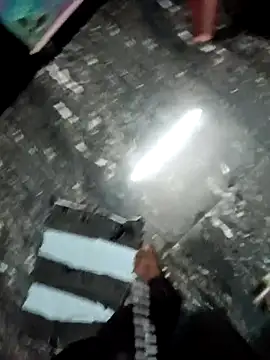 dolphiinn online show from December 2025 04:48:02 PM