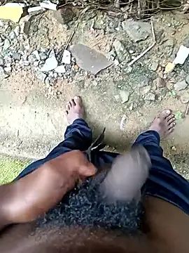 dolphiinn online show from December 2025 04:51:01 AM