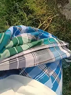 dolphiinn online show from July 2026 01:41:01 AM