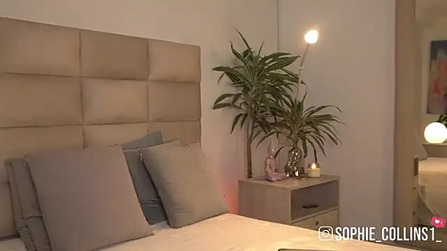 SophieCollins 1 online show from June 2026 11:56:02 AM