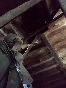  Helala  online show from October 2025 11:49:02 PM