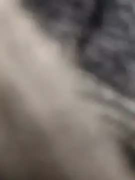 Hot modal online show from February 2026 04:49:02 PM