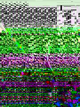 vergeta19 online show from November 2025 04:12:02 AM