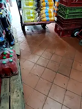 VERONICA  03 online show from September 2025 02:18:01 PM