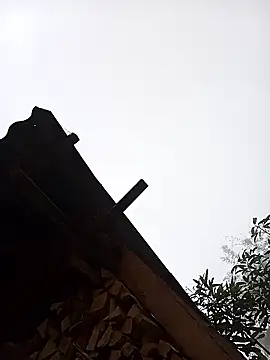 Ngocmi909 online show from January 2026 12:58:02 AM